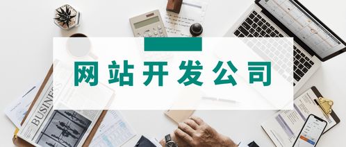 3家專業(yè)網(wǎng)站開發(fā)公司簡介 哪家的網(wǎng)站建設(shè)服務(wù)更適合你的運(yùn)營管理需求？