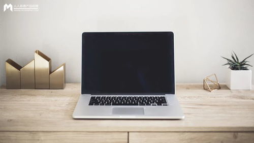 模型產(chǎn)品市場規(guī)模計(jì)算與銷售策略分析